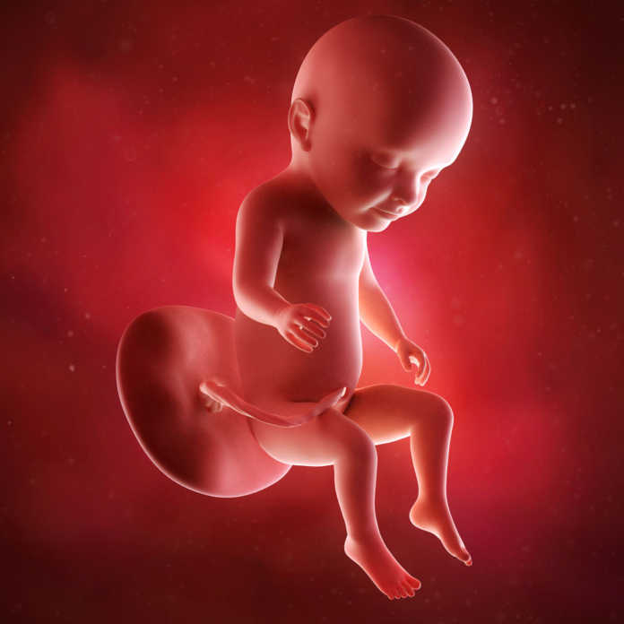 Pregnancy Weeks 31-36: Symptoms & Fetus Growth Stages