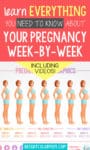 pregnancy week by week symptoms fetal growth development