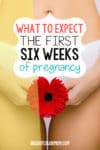 The first six weeks of pregnancy can be some of the most exciting - and terrifying! Find out everything you can expect from your first 6 weeks of pregnancy, including what's happening inside your body, exactly how big the baby is right now, and what symptoms you're likely to encounter first. Did you know you're not even actually pregnant for the first TWO WEEKS? Pin this to your own pregnancy board so you don't lose it! #pregnancy #firsttrimester #brightcolormom