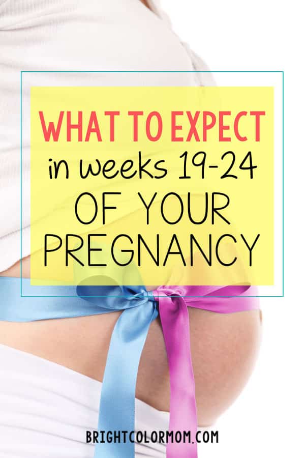 Pregnancy Weeks 19-24: Symptoms & Fetus Growth Stages