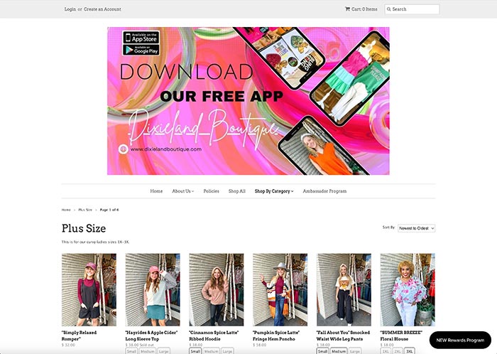 screenshot of Dixieland Boutique