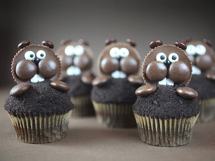 groundhog day cupcake recipe with reese's