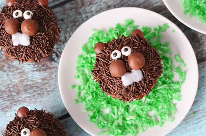 groundhog face cupcake recipe