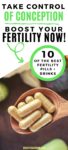 best fertility supplements