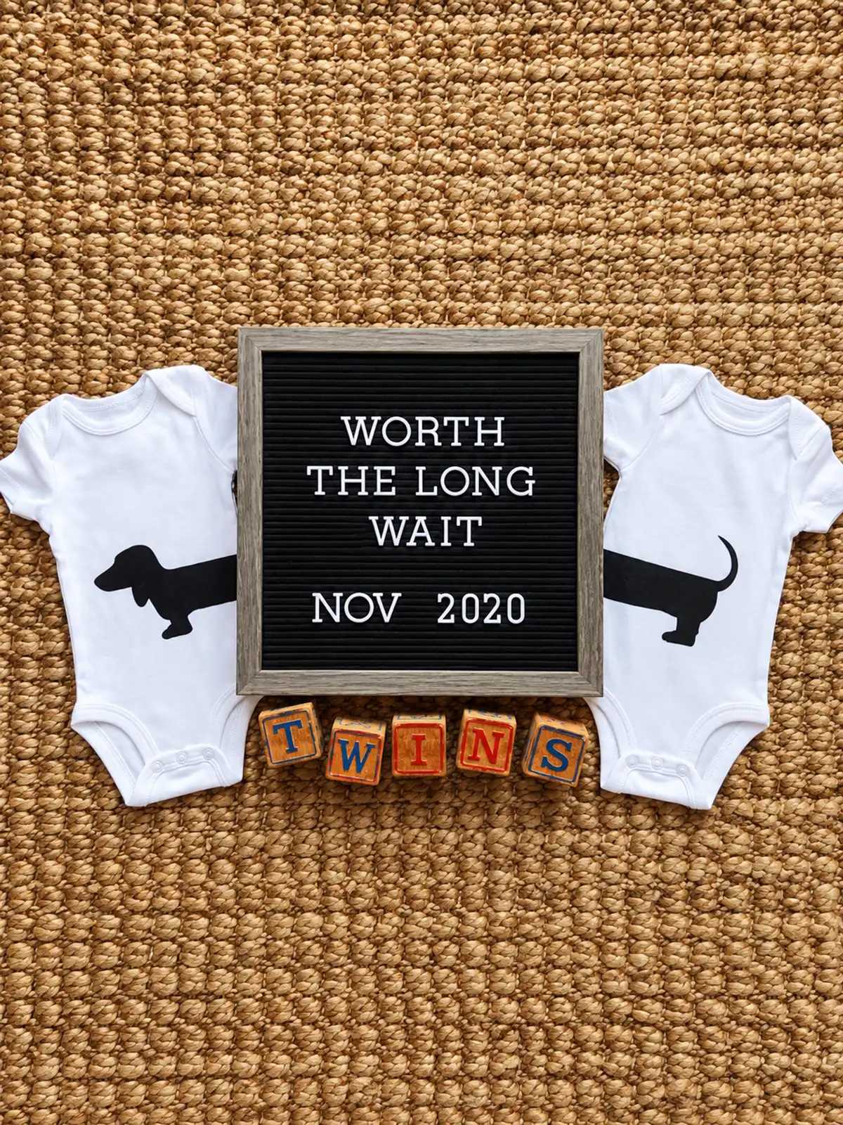 Twins pregnancy announcement with two dachshund baby onesies, Worth the Long Wait letterboard, and TWINS wooden blocks.