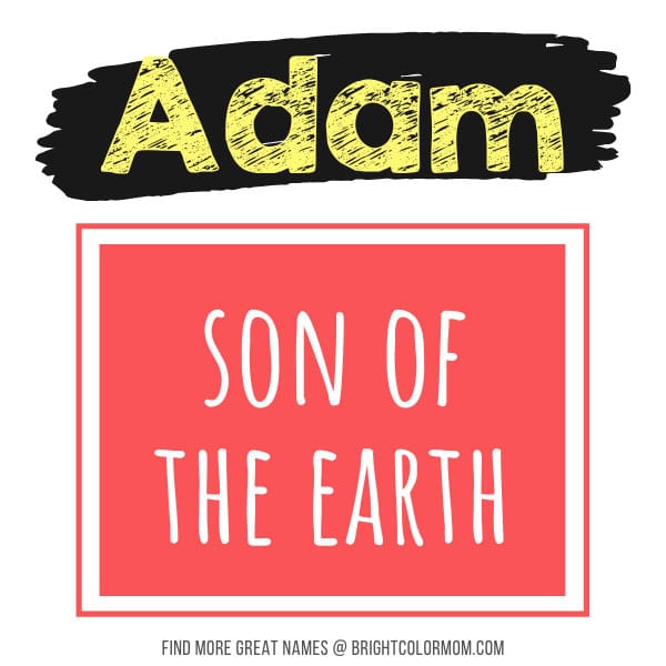 Adam: son of the Earth