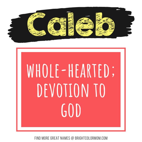 Caleb: whole-hearted; devotion to God