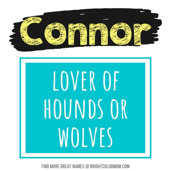 Connor: lover of hounds or wolves