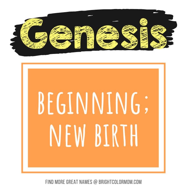 Genesis: beginning; new birth