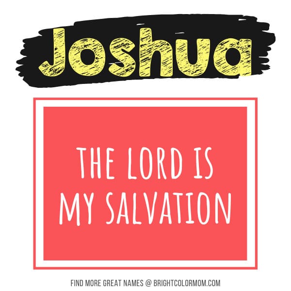 Joshua: the Lord is my salvation