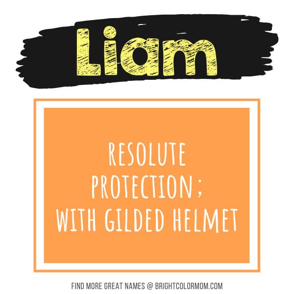 Liam: resolute protection; with gilded helmet