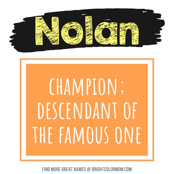 Nolan: champion; descendant of the famous one
