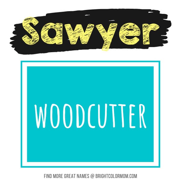Sawyer: woodcutter