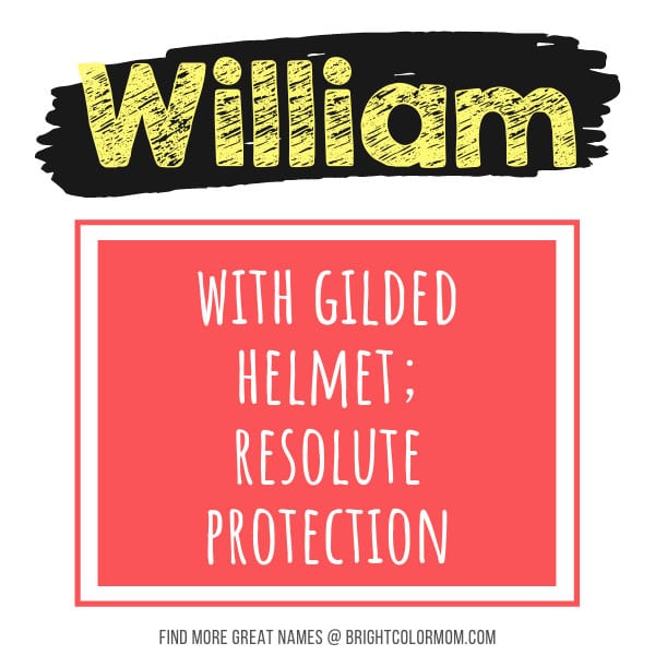 William: with gilded helmet; resolute protection