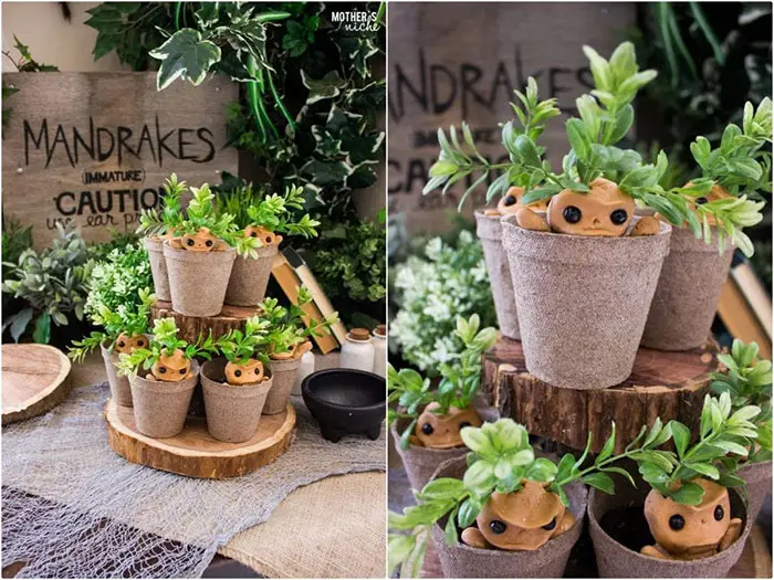 Harry Potter mandrake cupcakes in pots