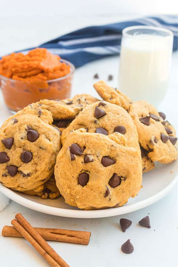 soft pumpkin chocolate chip cookies