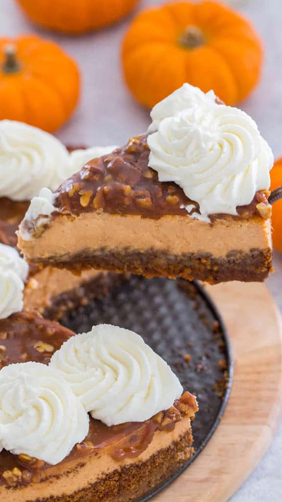 pecan pie pumpkin cheesecake