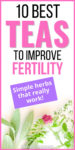 best teas for fertility