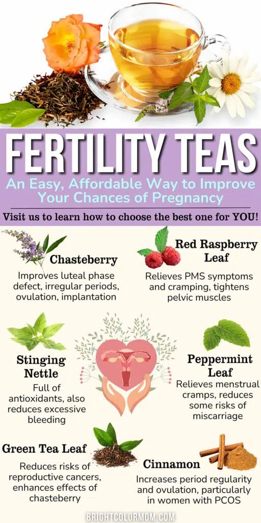 herbal tea and various herbs for fertility