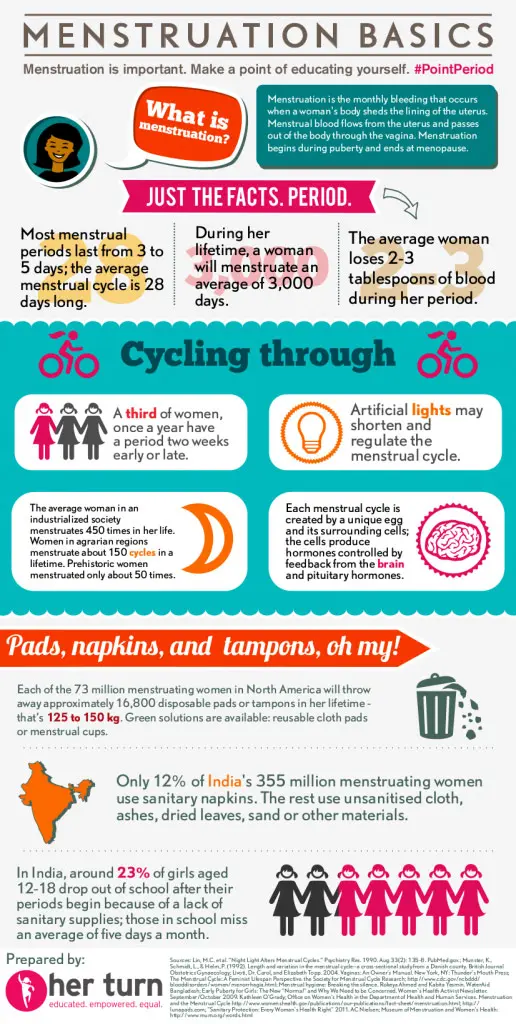 all about menstrual cycle infographic