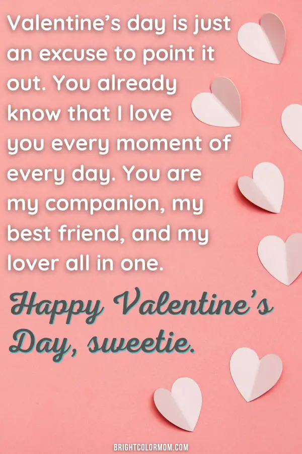 Valentine's Day is just an excuse to point it out. You already know that I love you every moment of every day. You are my companion, my best friend, and my lover all in one. Happy Valentine's Day, sweetie.