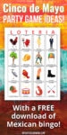 image of a Mexican loteria bingo card with the text "Cinco de Mayo Party Game Ideas with a FREE download of Mexican bingo!"