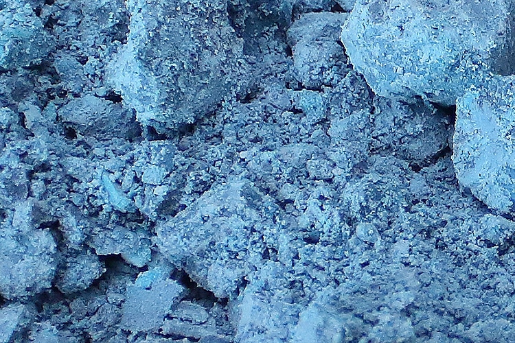 blue-colored cornstarch growing mold