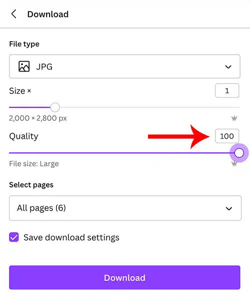 screenshot of the Download options in Canva Pro