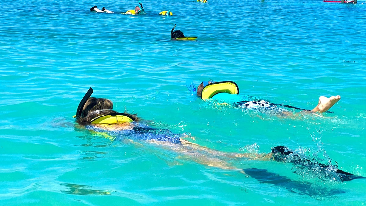wide view of several people snorkeling at Castaway Cay