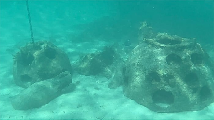 artificial coral reefs under the water in Castaway Cay's snorkeling lagoon
