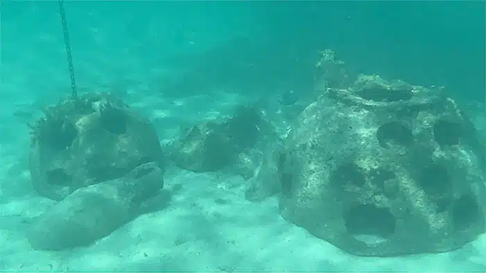 artificial coral reefs under the water in Castaway Cay's snorkeling lagoon