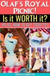 a collage of photos from Olaf's Royal Picnic on the Disney Wish with text reading "Olaf's Royal Picnic: Is it worth it? Plus: How to get tickets!"