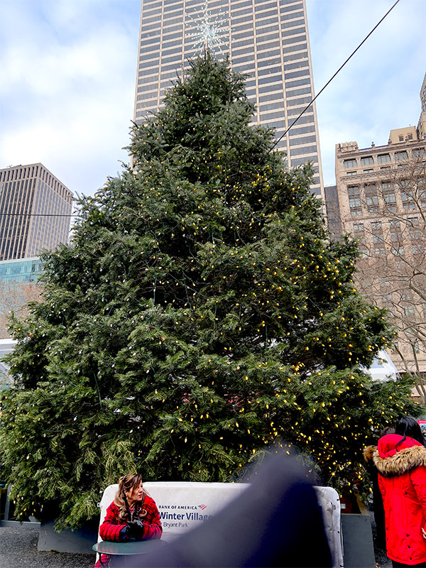 the Bryant Park Christmas tree in NYC during the day