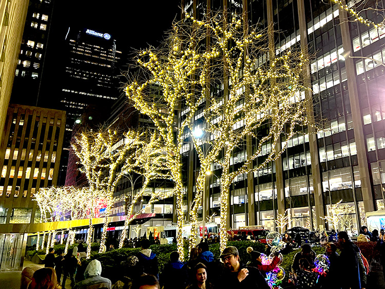 bare winter trees covered in white Christmas lights lining the street next to Chase in New York City