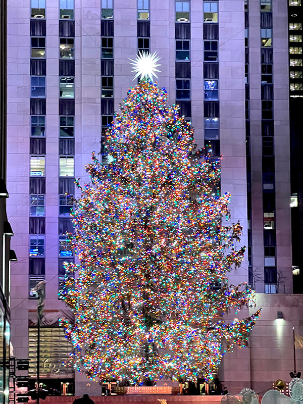 the Rockefeller Christmas tree at night