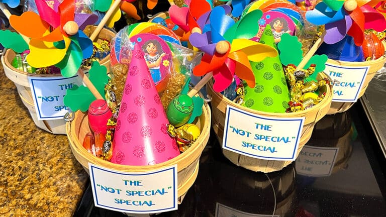 Encanto party favor gift baskets resembling the "Not Special Special" from the movie