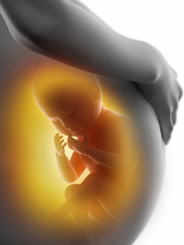 closeup of a pregnant belly with a CGI visualization of a baby inside