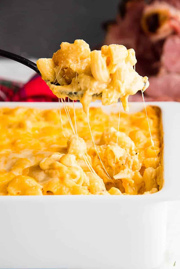 a white casserole full of extra-cheesy baked macaroni