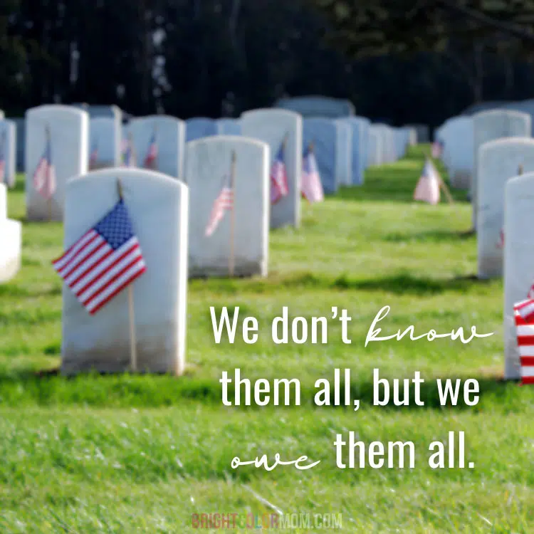 veteran cemetery with the text "We don't know them all, but we owe them all."