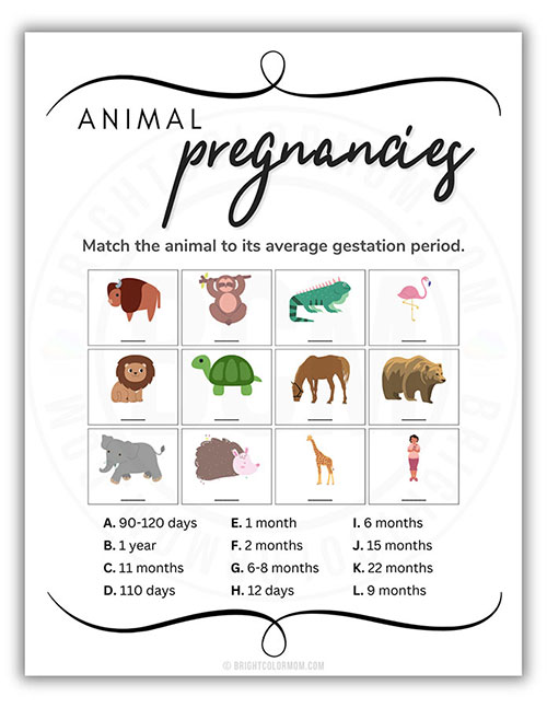 printable baby shower game where guests match the animal to its gestation period
