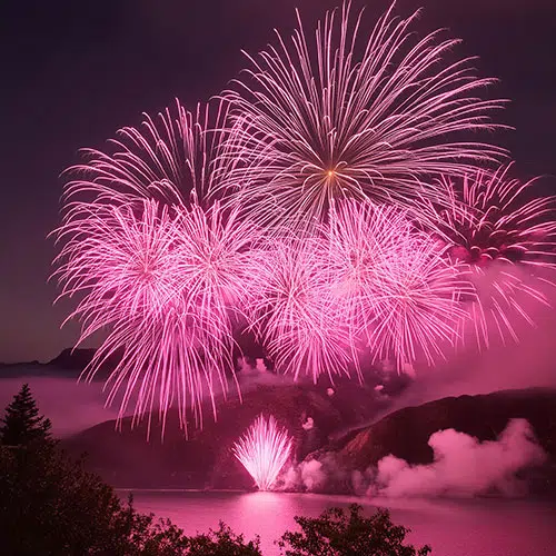 pink fireworks lighting up a night sky