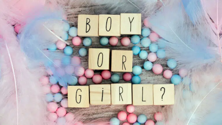 blocks spell out "boy or girl?" with pink and blue candies scattered