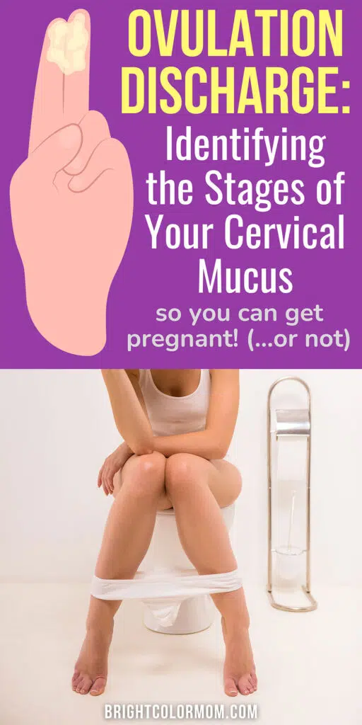 an illustration of a hand holding up two fingers covered in mucus, text reading "Ovulation Discharge: Identifying the Stages of Your Cervical Mucus" and a cropped photo of a woman sitting on a toilet with her underwear down