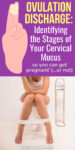 an illustration of a hand holding up two fingers covered in mucus, text reading "Ovulation Discharge: Identifying the Stages of Your Cervical Mucus" and a cropped photo of a woman sitting on a toilet with her underwear down