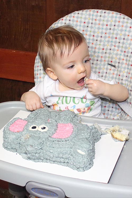a one-year-old boy sitting in a high chair eating his elephant-shaped smash cake