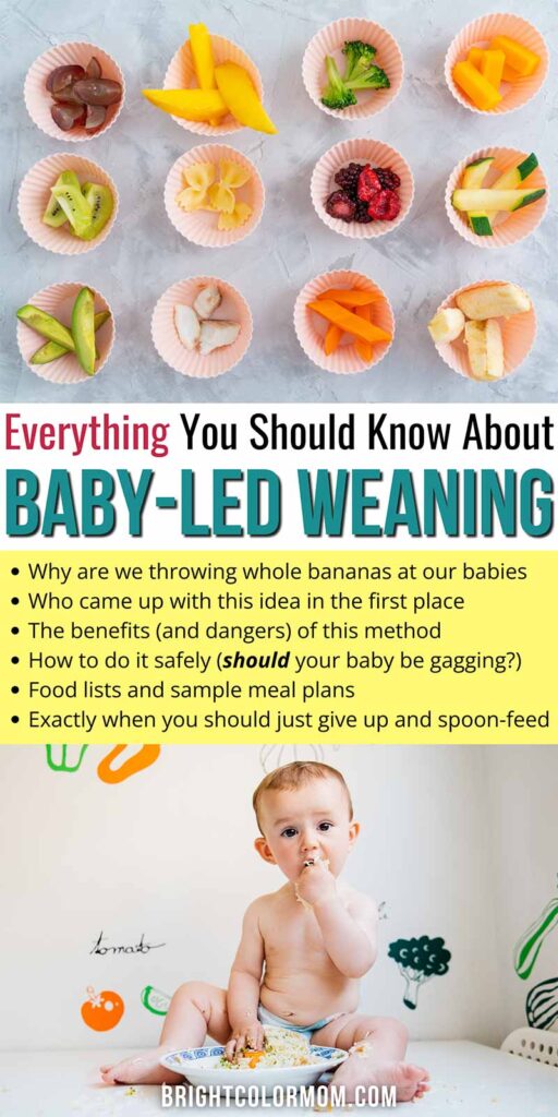 top shows various finger foods in cups, bottom shows a baby sitting in a diaper grabbing at food in a bowl; text reads "Everything you should know about baby-led weaning"