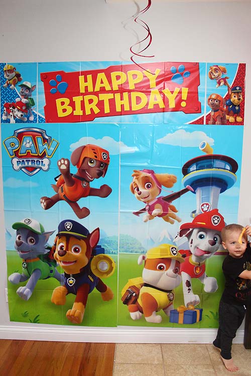 a little boy standing next to a Paw Patrol photo background