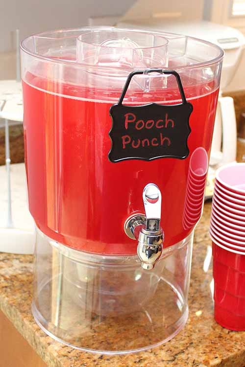 red Hawaiian Punch in a drink dispenser labeled "Pooch Punch"