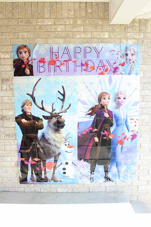 a Frozen 2 scene setter photo backdrop hung on a brick wall outside