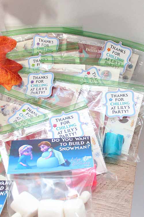 Frozen party favor bags